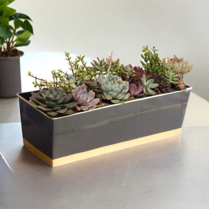 Zutoia Black Planter - Black