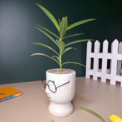Cheeky Bloom Ceramic Planter - White